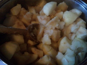 Here's what the apples look like after a little bit of cooking.