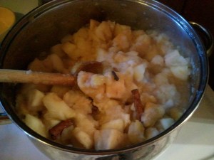 The apples are so soft they're practically turning themselves into sauce. Don't forget to fish out the cinnamon sticks and cloves!