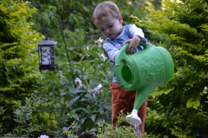 Here I am, watering our new blueberry bushes. You know how much I love bluebies.