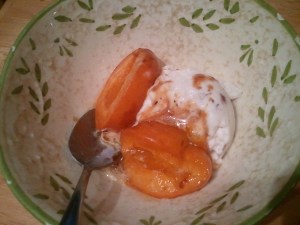 The warm apricots started melting the pecan ice cream. Mmm....