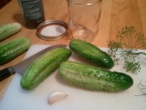 These little cucs are the perfect size for a pint jar.