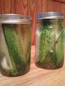 If you're mouth's not watering just looking at these, then... you mustn't like pickles very much.