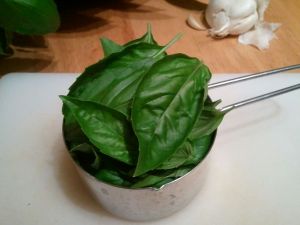 This is a packed cup of basil. I couldn't fit more leaves in there if I tried. (By the way, picking leaves off a basil plant is a great task for someone like me!)