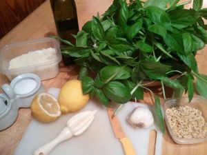Gather everything together before you start, and you'll be done with your pesto in no time.