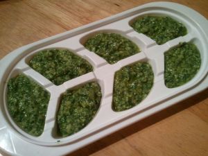 Mama put my old baby food freezer trays to good use!