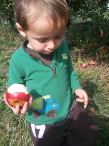 I'm performing quality control on this apple.