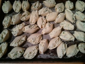 They really do look like sea shells.