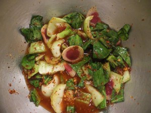 This is what kimchi looks like before it goes into the jar.
