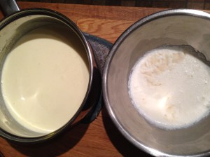 Ready to combine. You can see a bit of dry gelatin powder at 12 o'clock. Mama mixed it in before adding it to the hot cream.