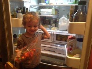 Papa bough contraband strawberries out of season, much to my delight!