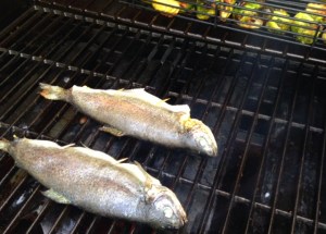 Up in the corner you can see Brussels sprouts in their cute little cages.