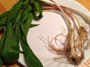 These skinny little onions pack quick a punch.