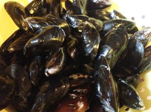 These mussels are closed tight, like clams!