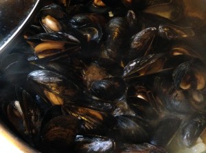 They're all open and ready for their close-up.