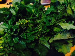 rapini/littlejudeonfood.com