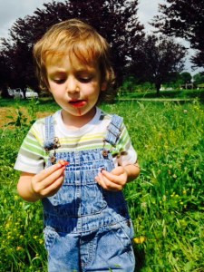 I didn't like picking these strawberries because it was too much work. I kept asking Mama to add her berries into my basket.