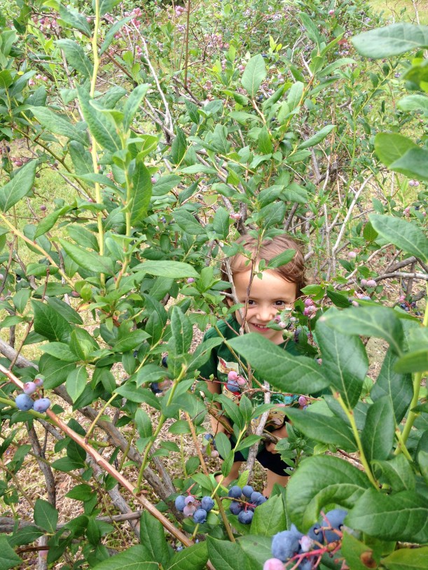 berry hider/littlejudeonfood.com