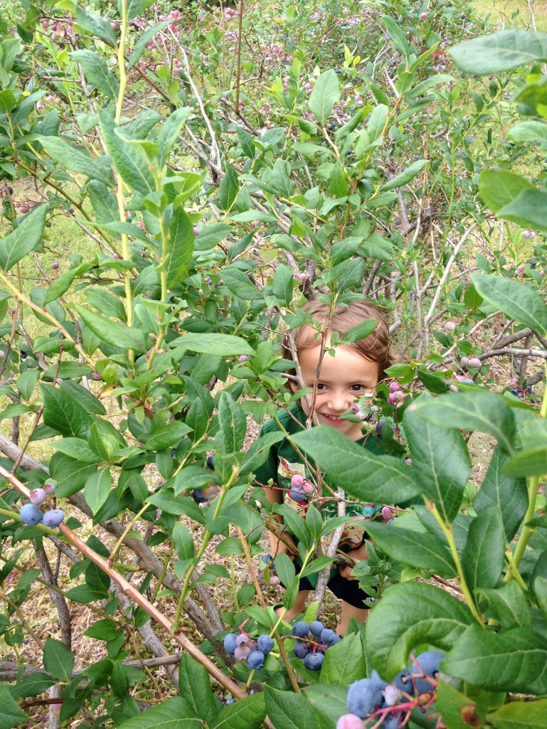 berry hider/littlejudeonfood.com