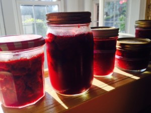 Though all the jars ended up sealing, we're going to store them in the fridge & freezer.