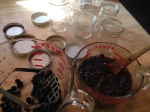 mashed blueberries/littlejudeonfood.com